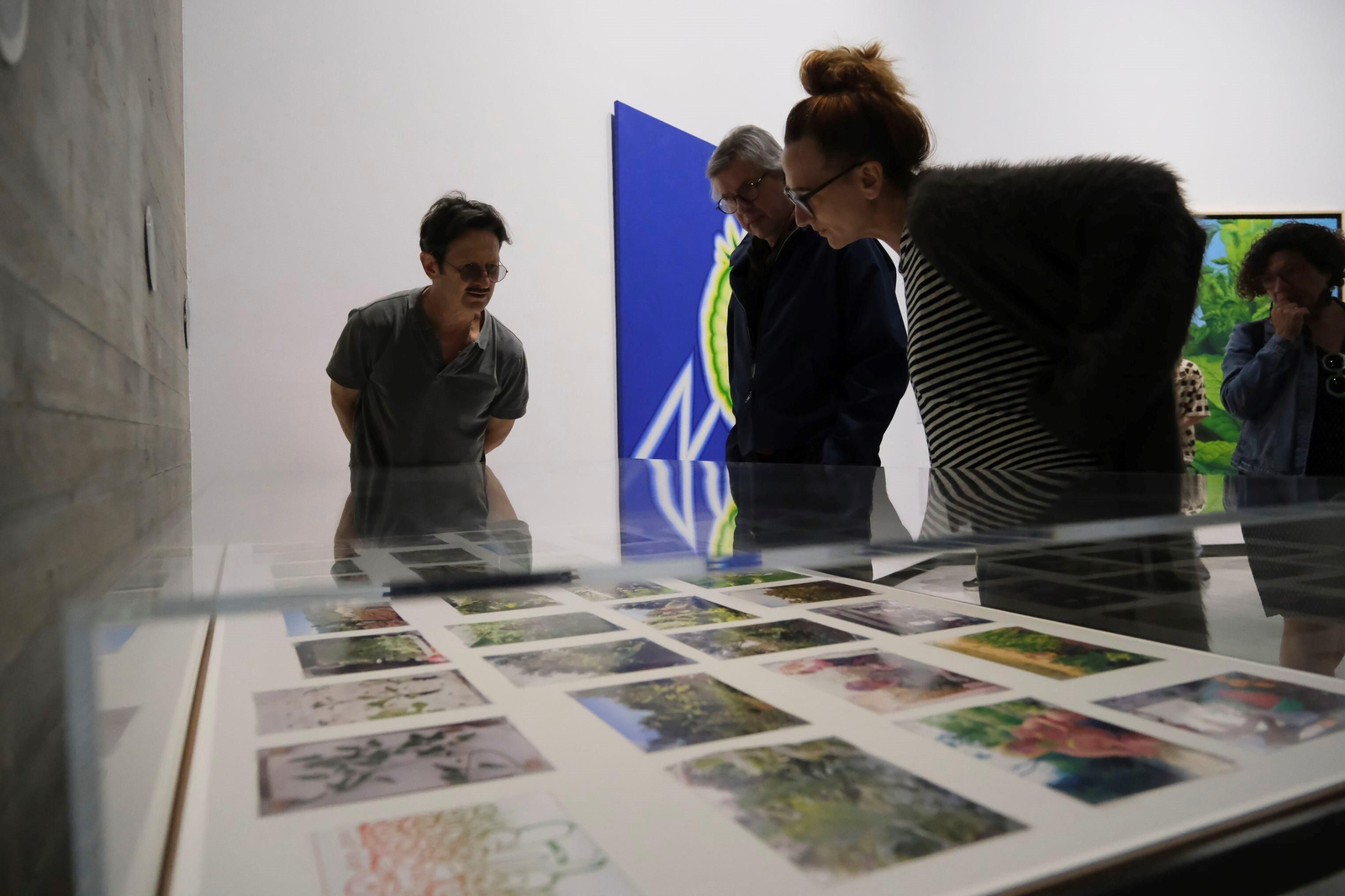 La exposición 'Sombra verde' de Federico Guzmán en el C3A de Córdoba, en imágenes