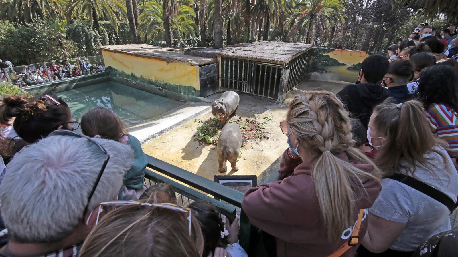 69 aniversario del Zoo de Jerez