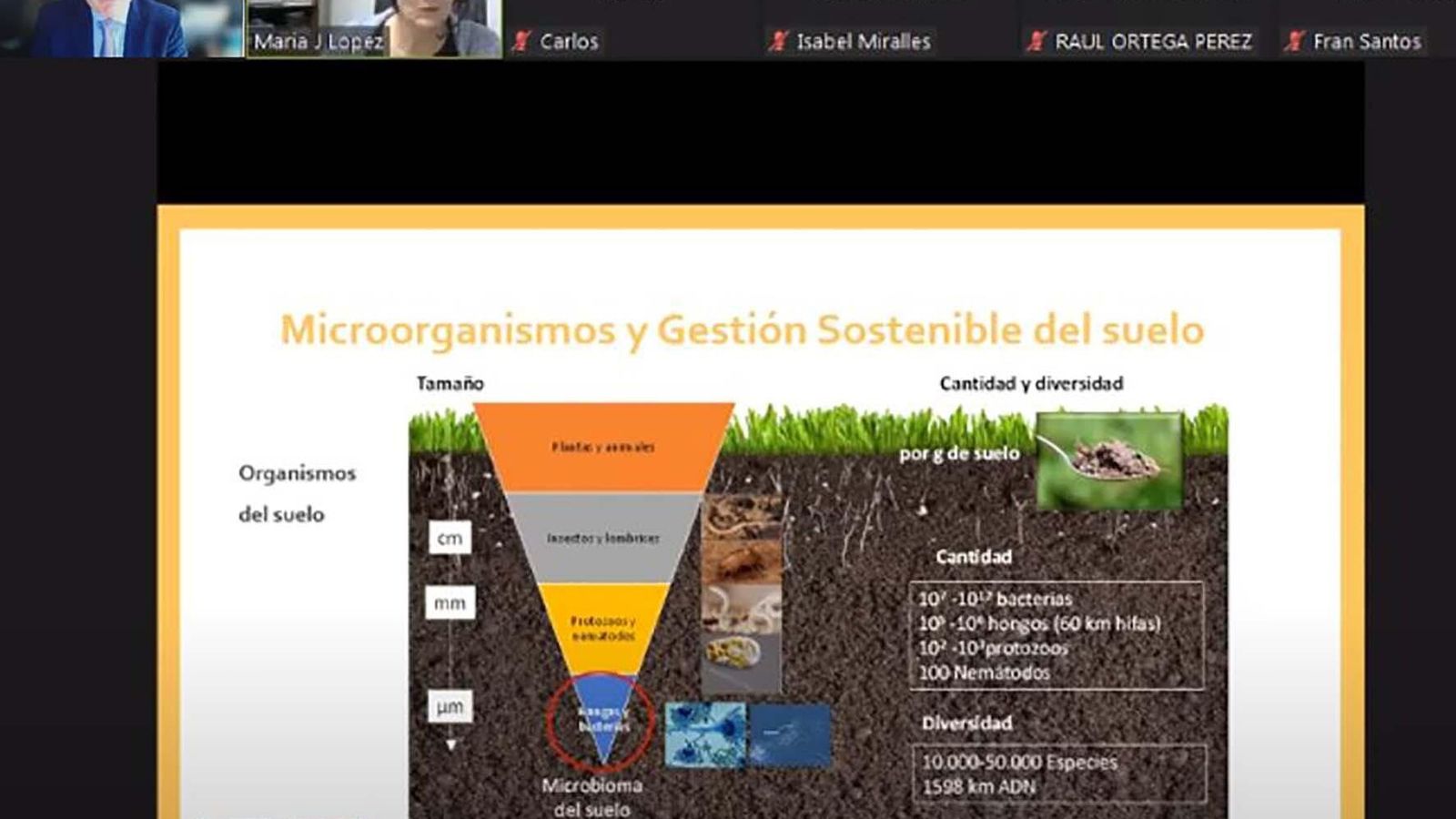 Jornadas sobre suelos de Ciaimbital.