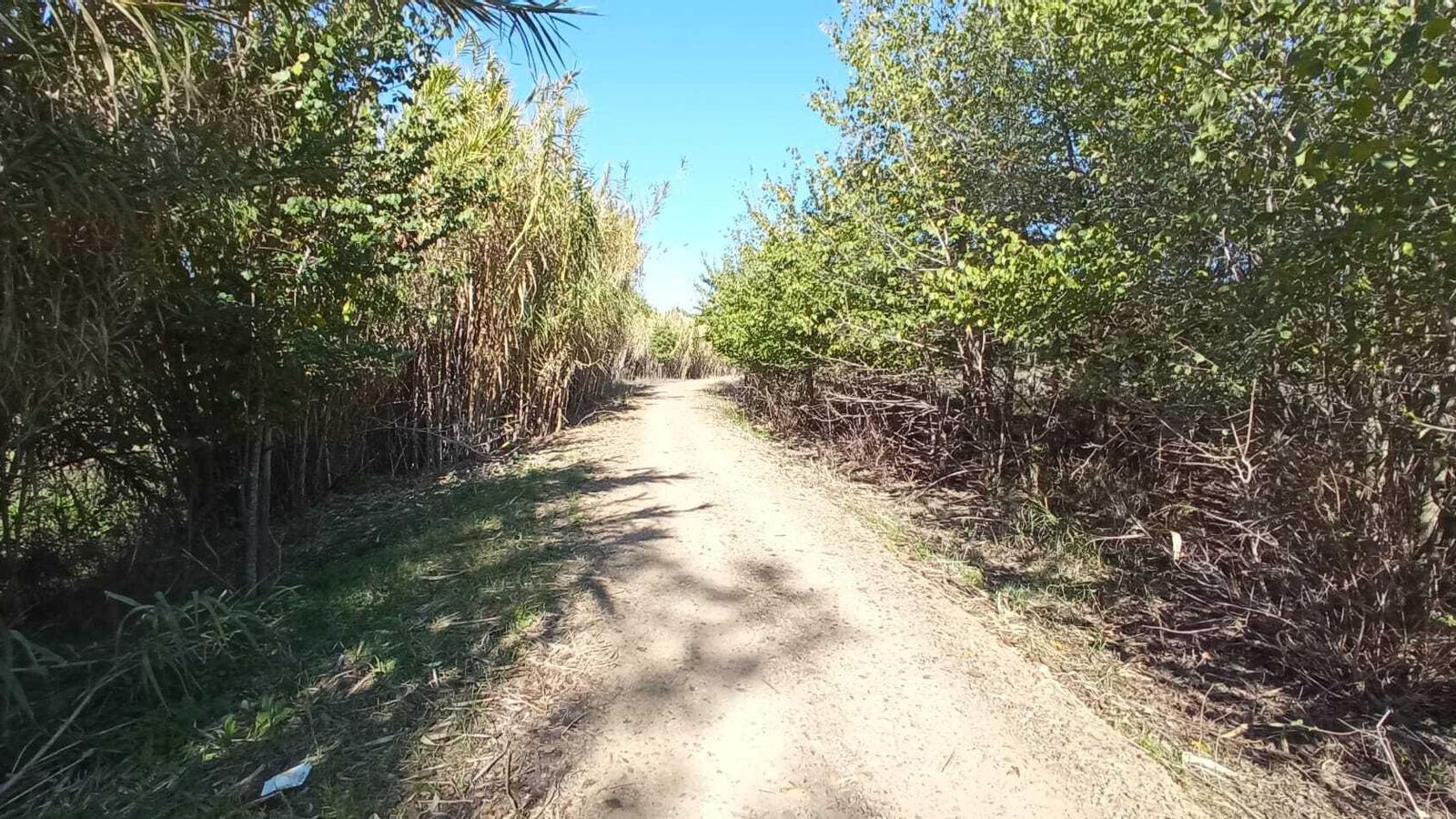 Las imágenes del Tramo I de la Ruta del Río Pudio Las imágenes del Tramo I de la Ruta del Río Pudio