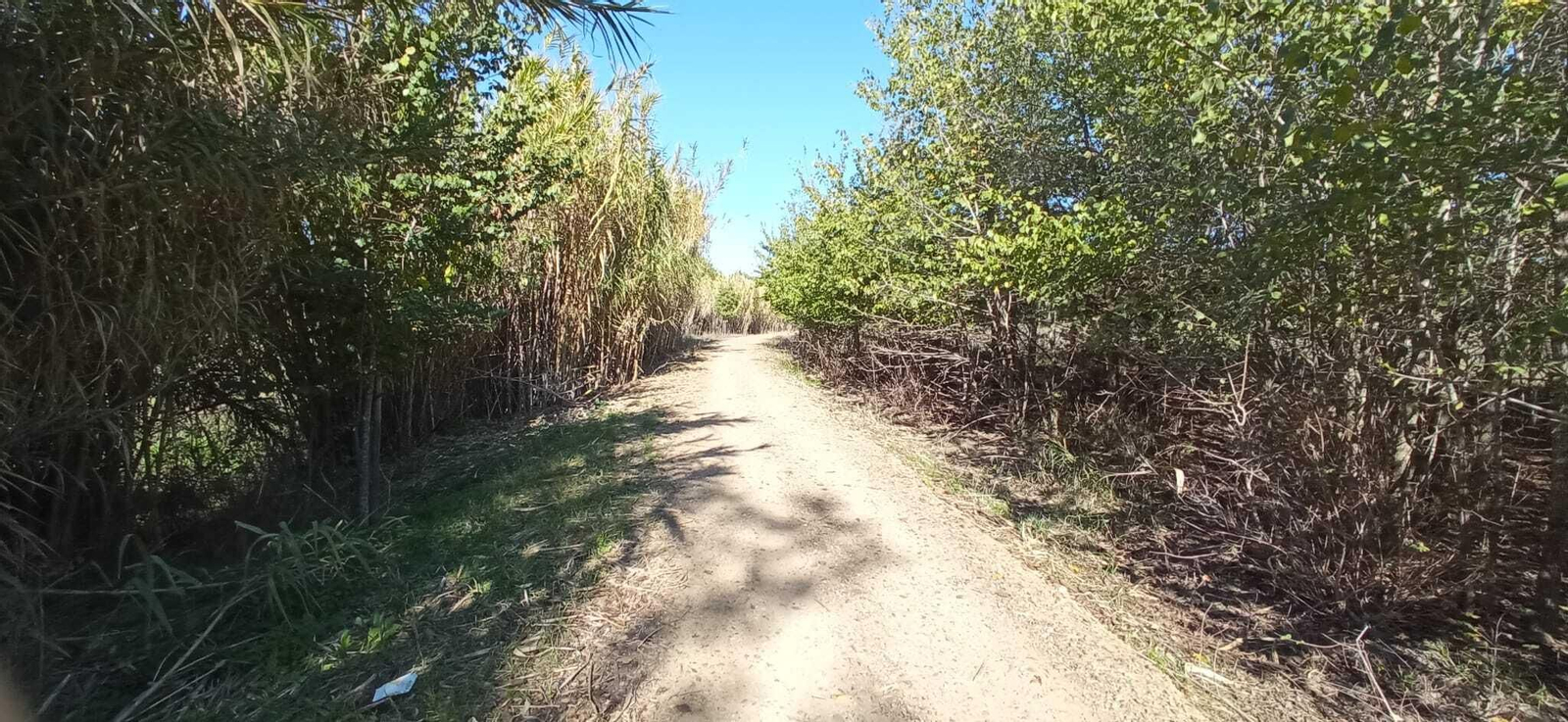 Las imágenes del Tramo I de la Ruta del Río Pudio
