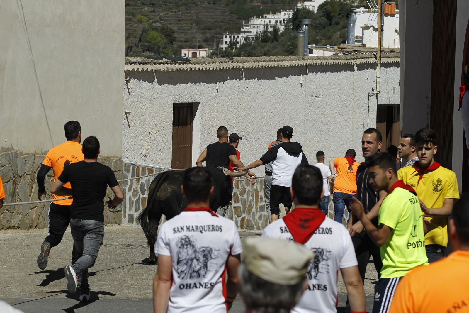 Fotogalería Tosos Ensogaos Ohanes. Fiestas San Marcos.