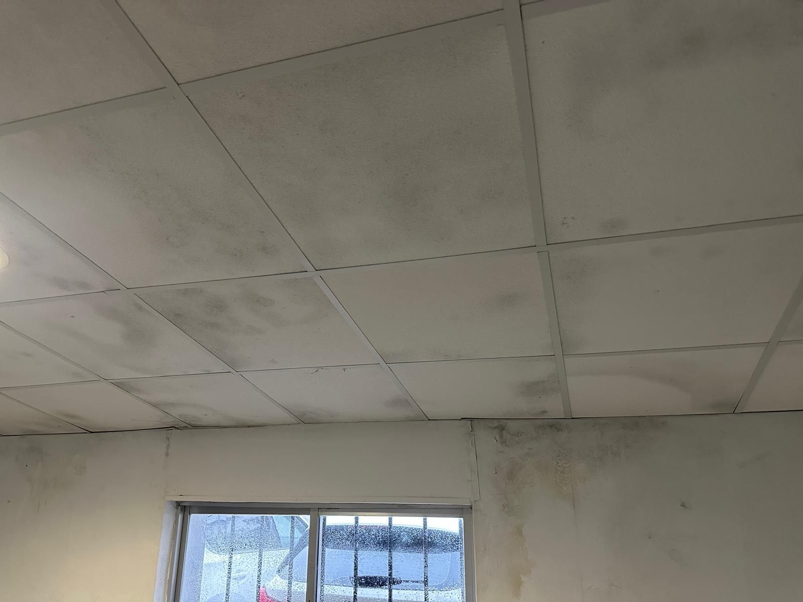 Fotografías de las goteras y humedades en el IES San Blas de Aracena, con alumnos desalojados este miércoles