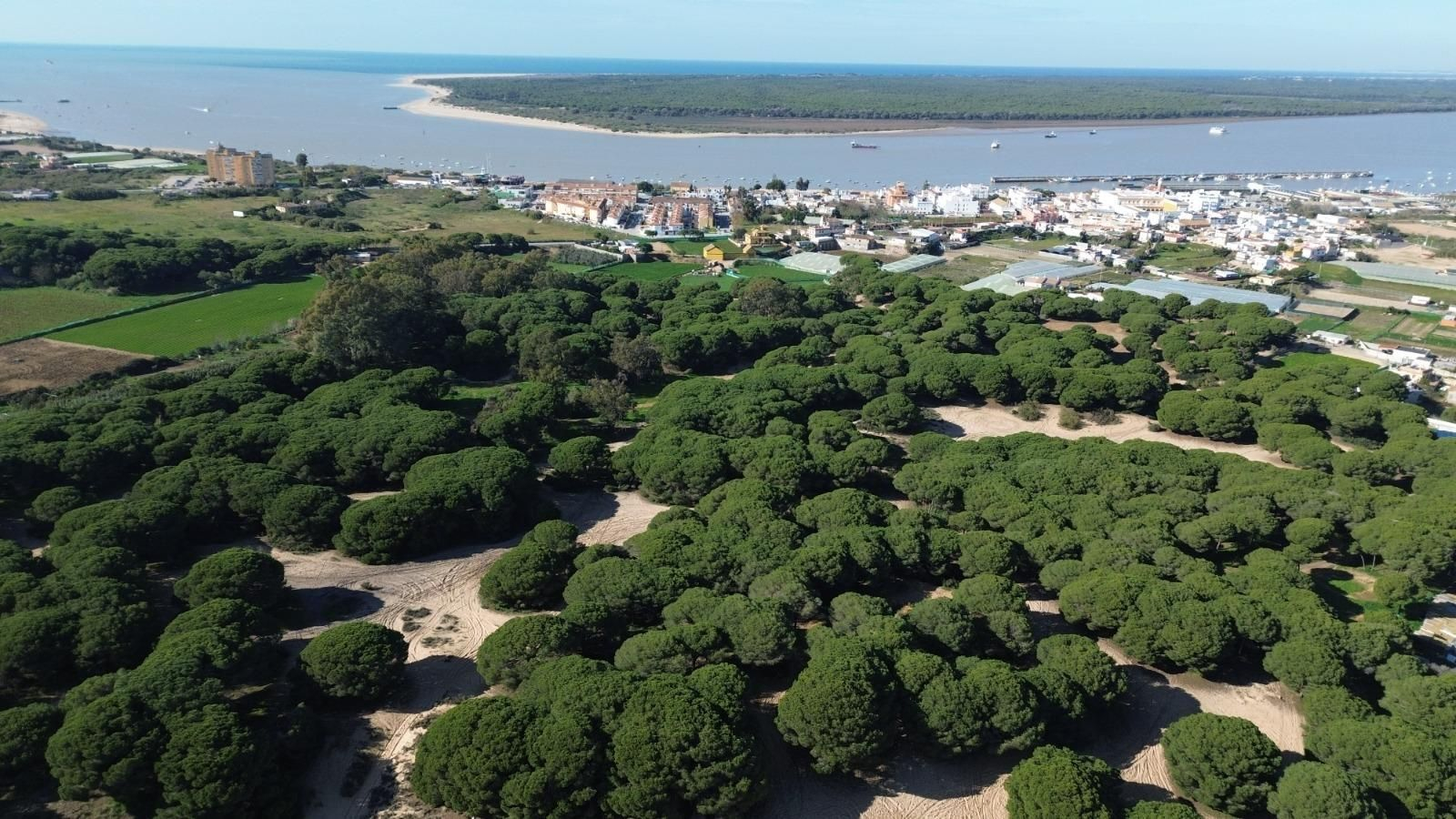 Parque Natural de Doñana vista desde Sanlúcar.