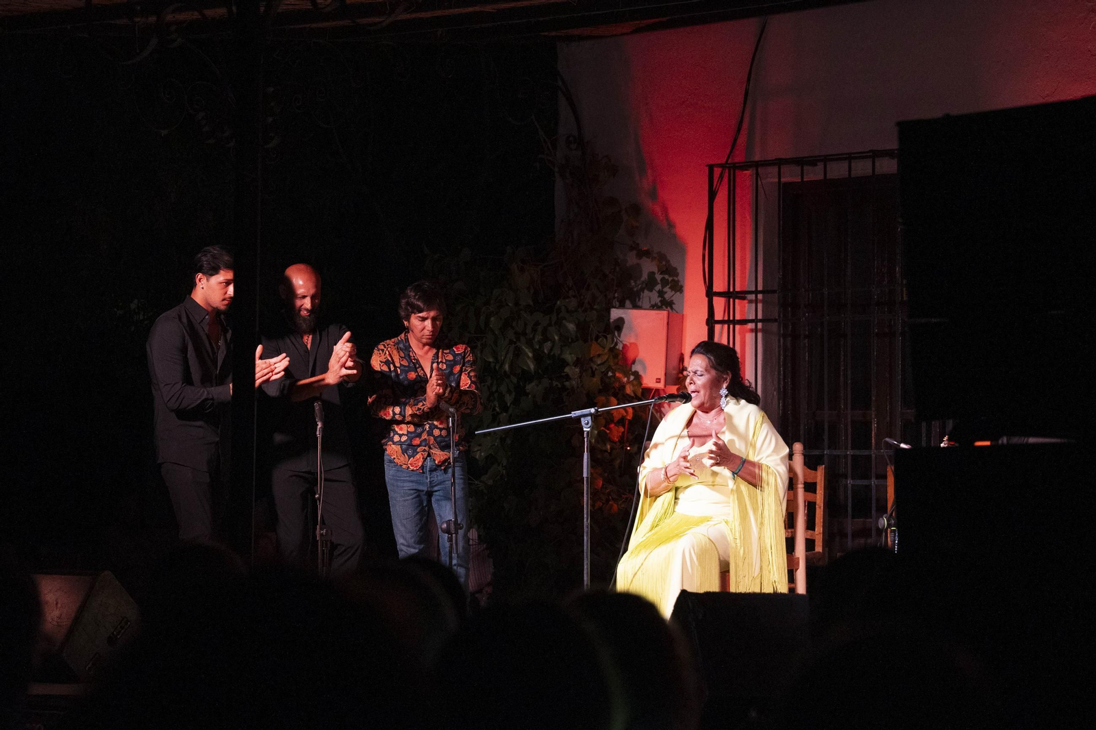 Las mejores imágenes del Festival de Flamenco en Fondón