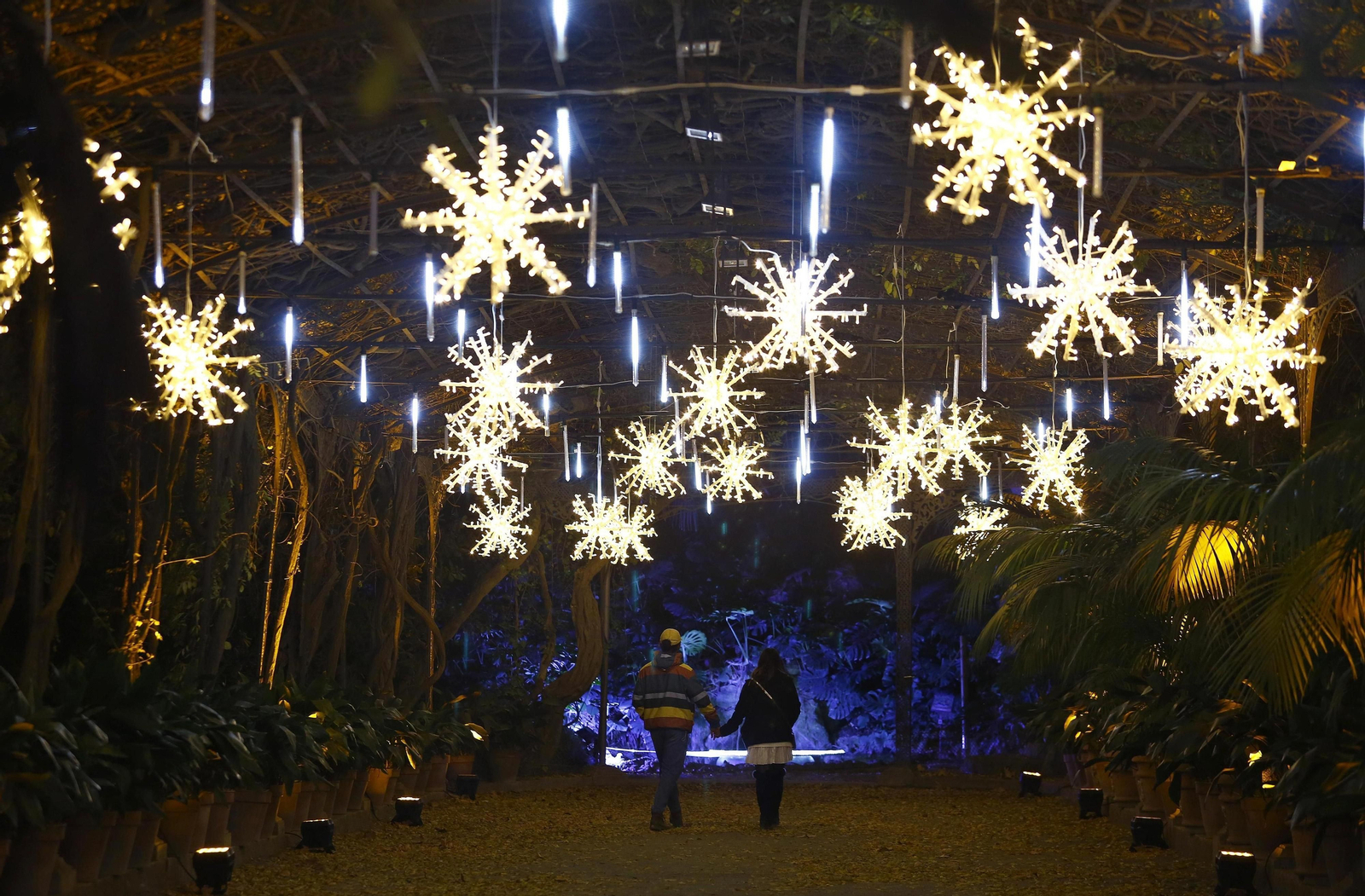 Las luces del Jardín Botánico de Málaga, en fotos