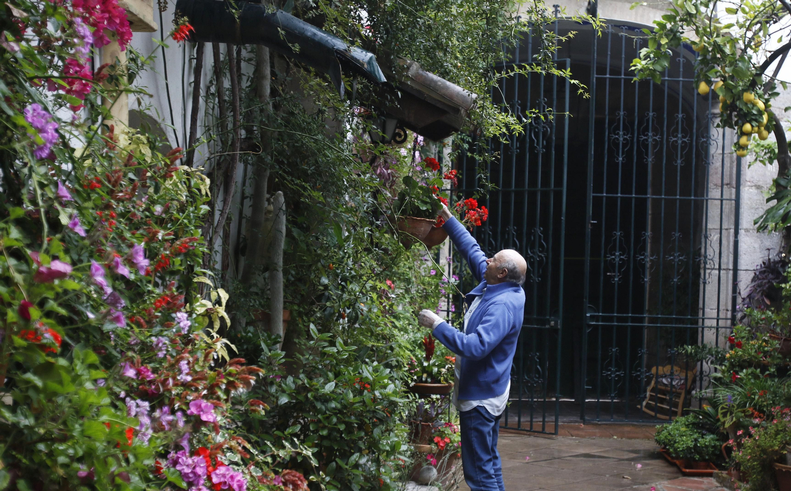 Las fotos de los Patios de Córdoba en tiempos de crisis: La Palma, 3