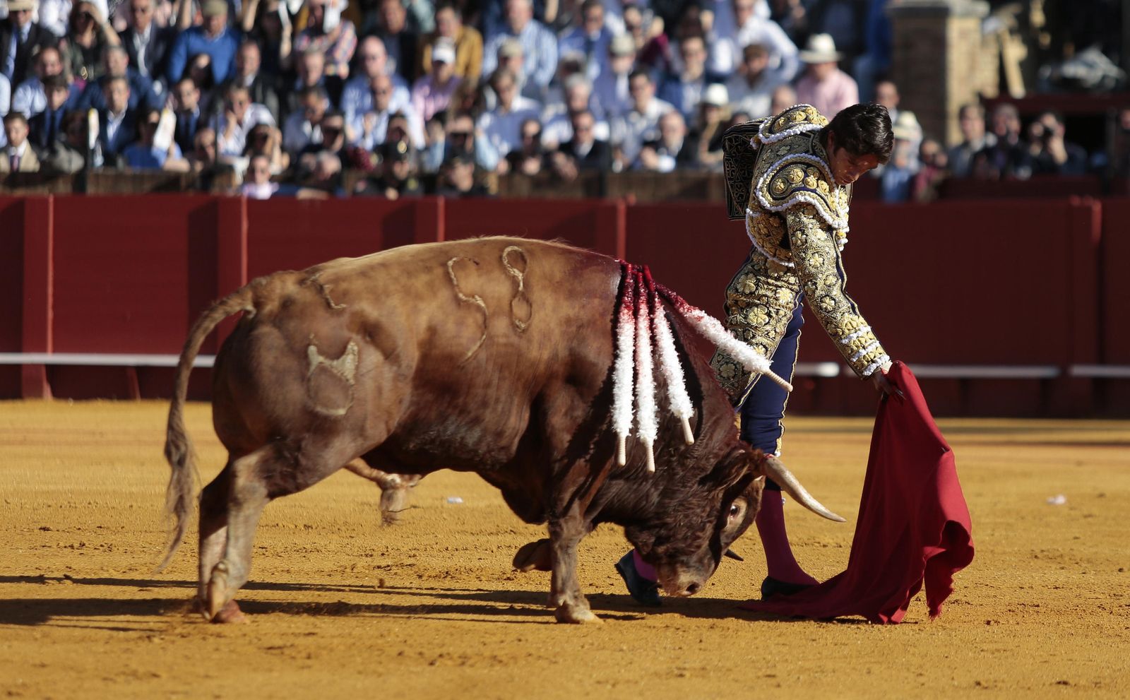 La novena de abono en la Real Maestranza de Sevilla