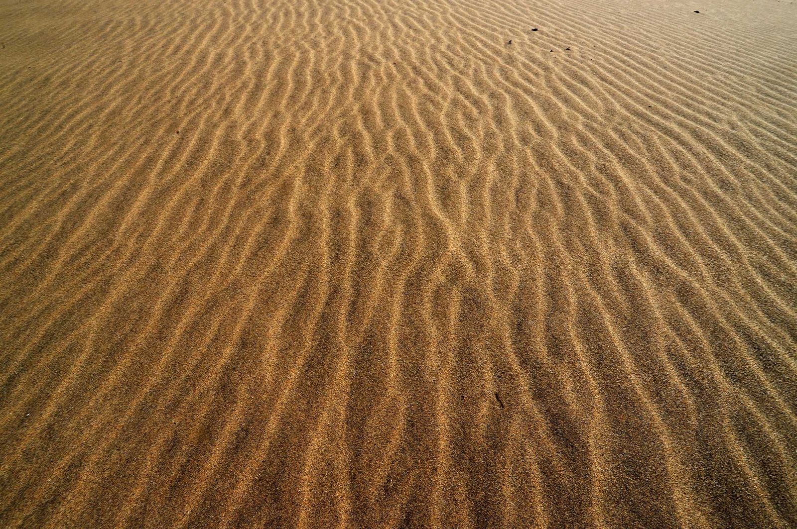Imágenes del domingo 25 de septiembre en Huelva