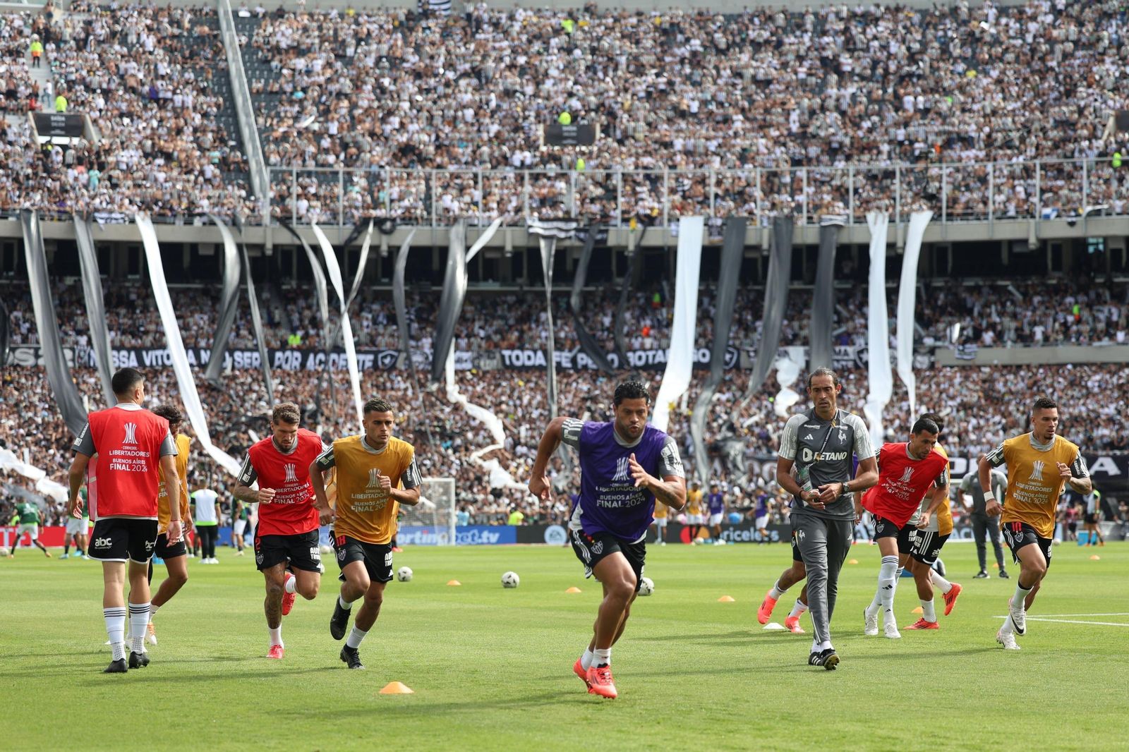 Las fotos de una final de la Libertadores histórica; Botafogo, campeón con 10, ante Atlético Mineiro