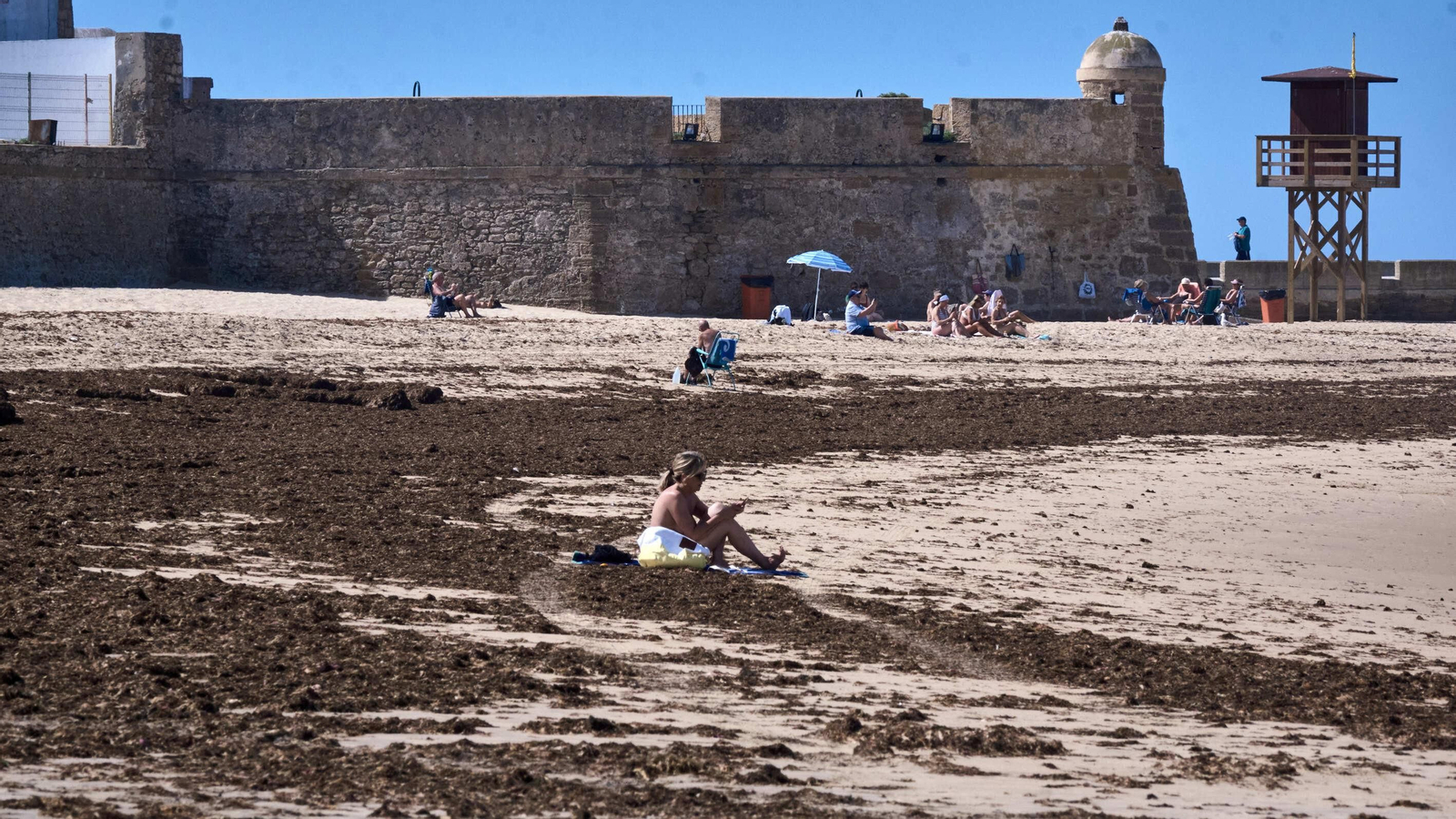 Imágenes: La orilla de la playa de La Caleta, cubierta de algas