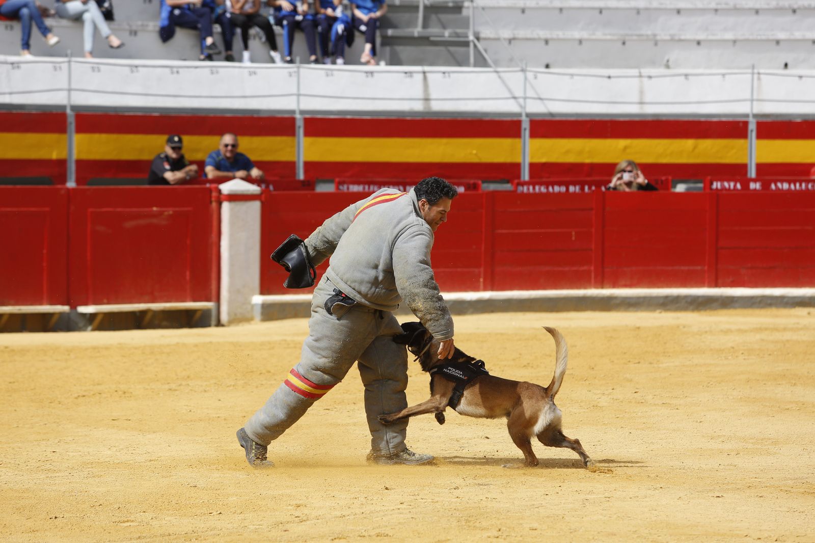 1. Algunos de los alumnos que asistieron participaron en las exhibiciones policiales que se realizaron ayer en la Plaza de Toros. 2. Se realizaron exhibiciones de distintos grupos y unidades policiales. 3. Asistieron 2.300 escolares de Granada.