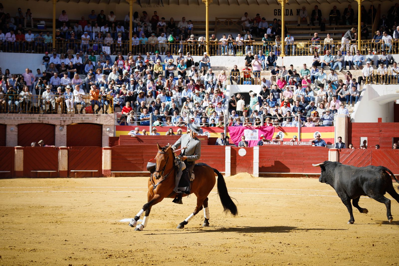 Imágenes del festival mixto lucha contra el cáncer