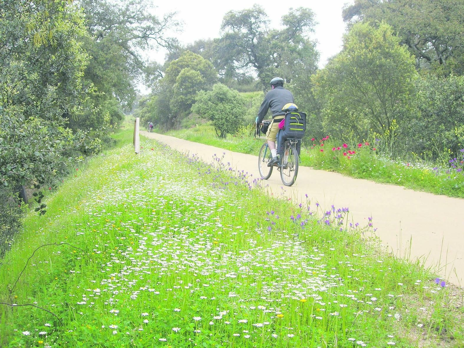 Un ciclista recorre una vía  verde de la provincia.