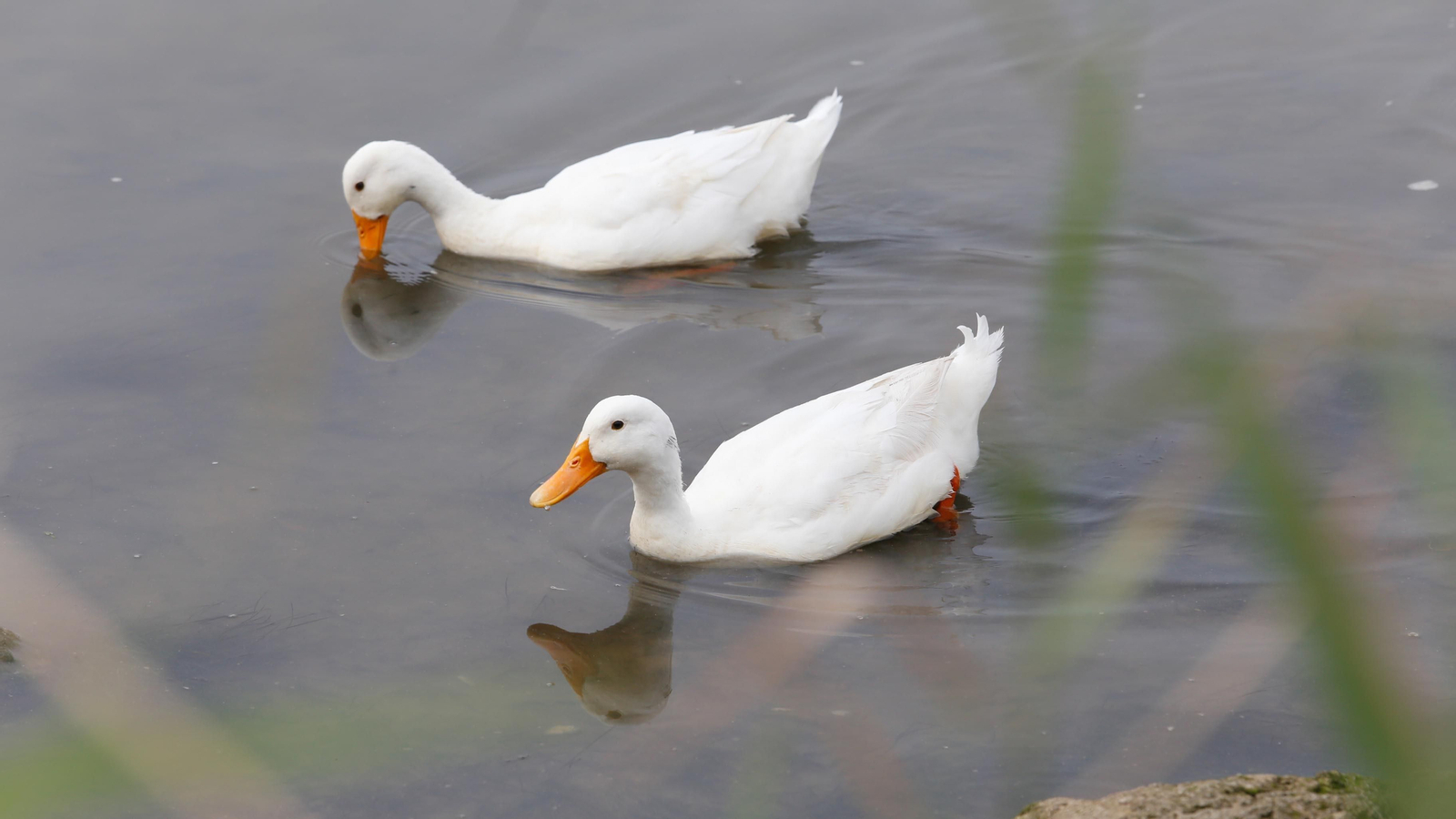 Un paseo por la ribera del Río Palmones, en imágenes
