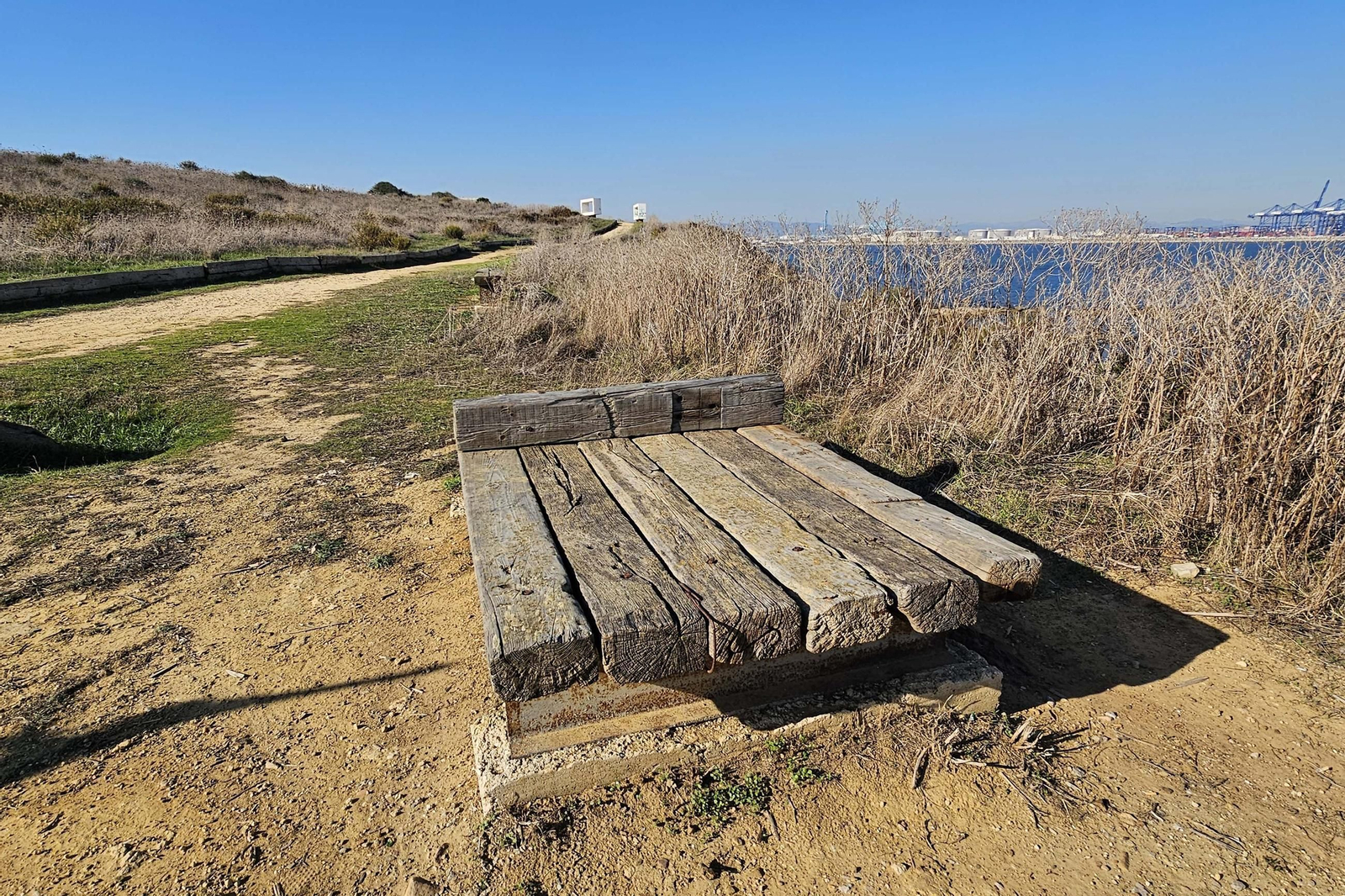 Fotografías del estado del Parque del Centenario de Algeciras