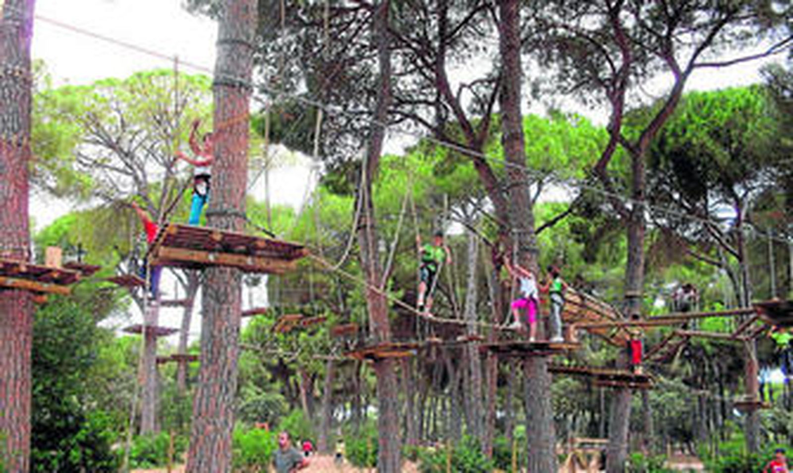 Imagen de uno de los recorridos que se pueden llevar a cabo en El Bosque Suspendido.
