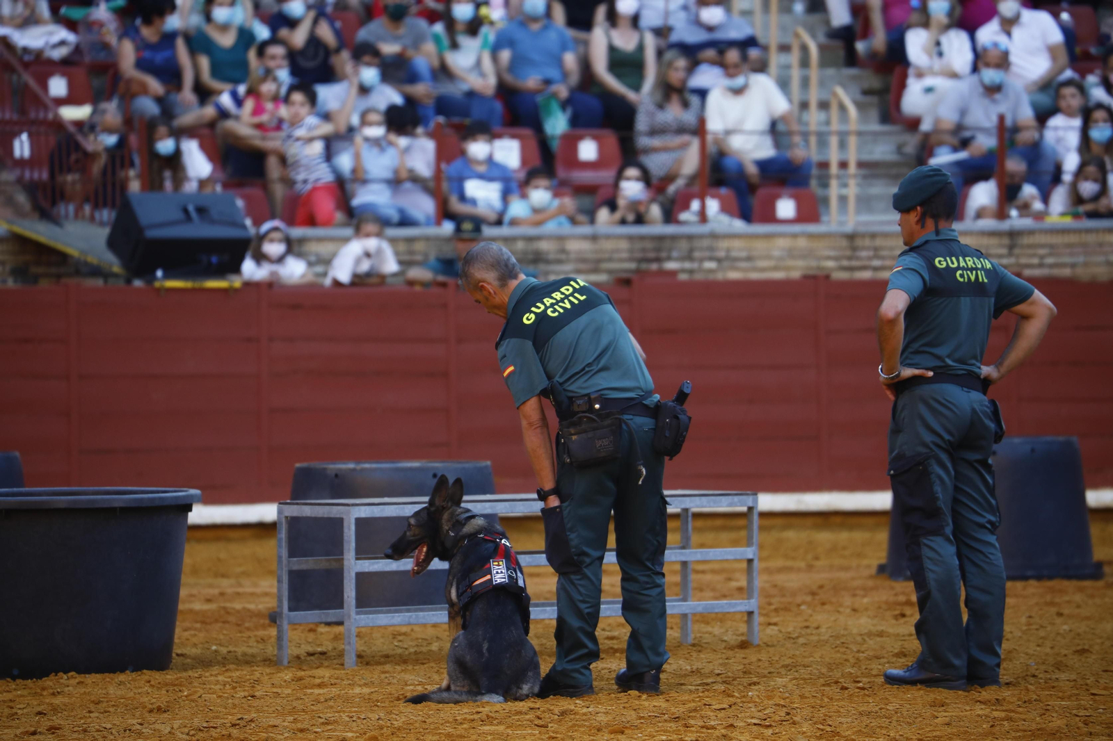 La impresionante exhibición de la Guardia Civil en la plaza de toros de Córdoba, en fotografías