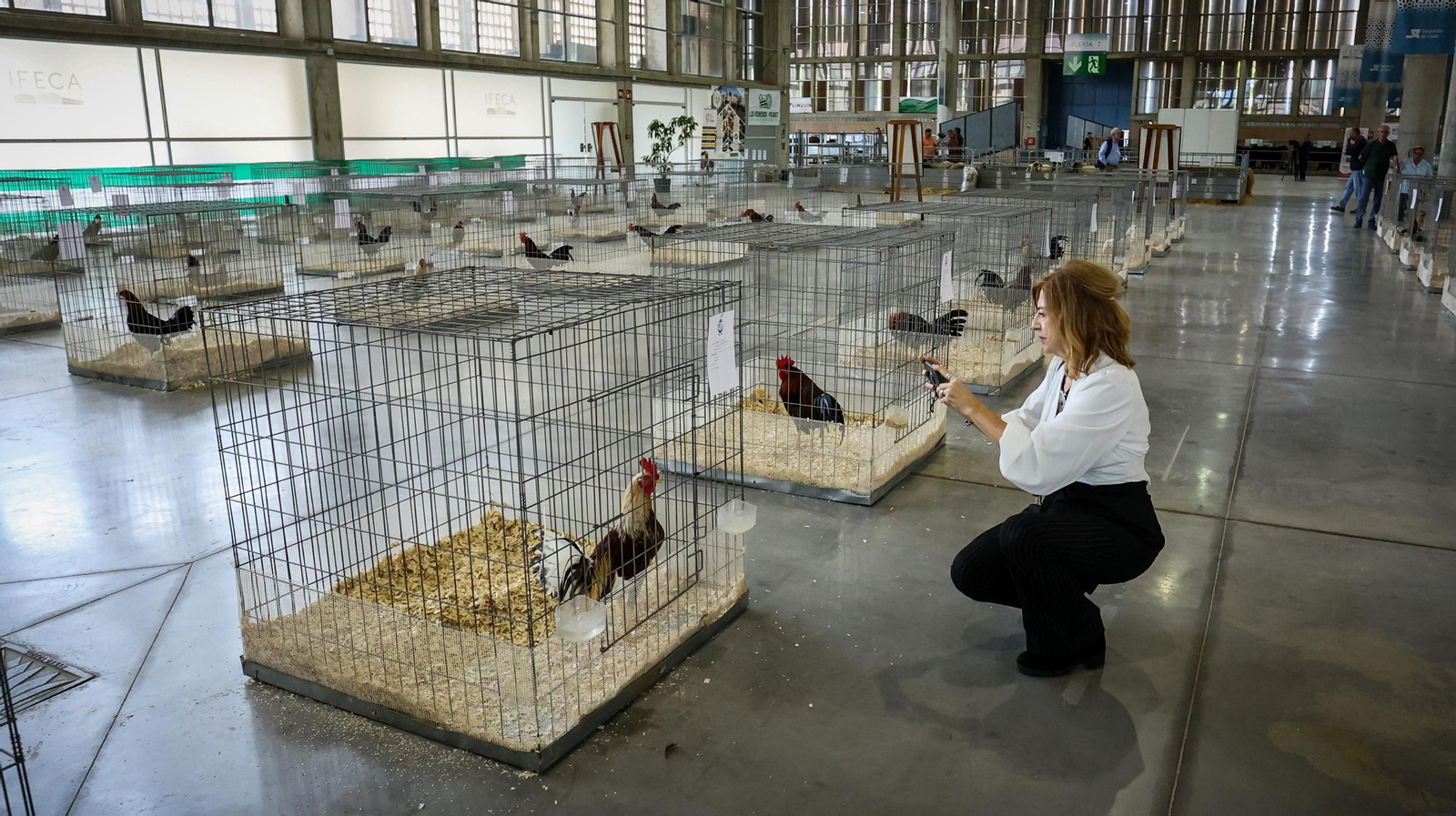 Comienza la feria de la ganadería y la agricultura en IFECA
