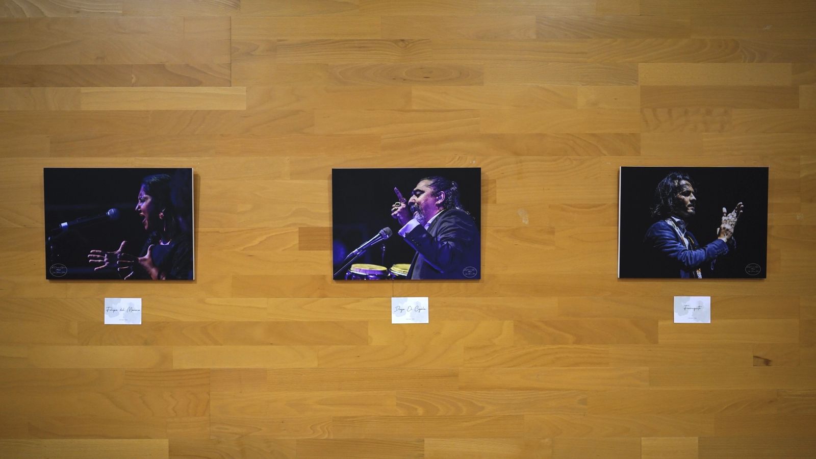 Fotos del encuentro de luthieres en Algeciras