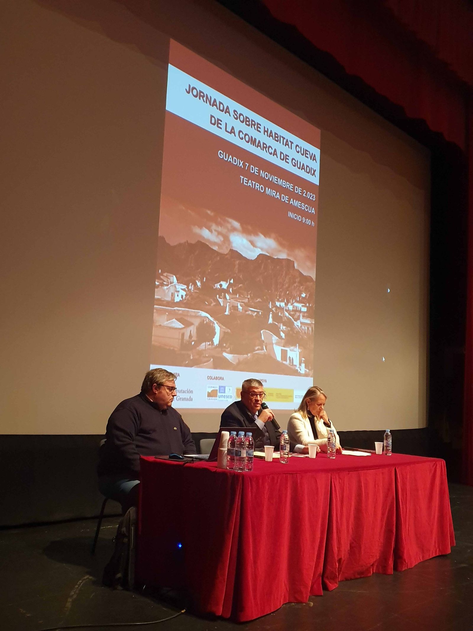 Presentación de una de las ponencias.