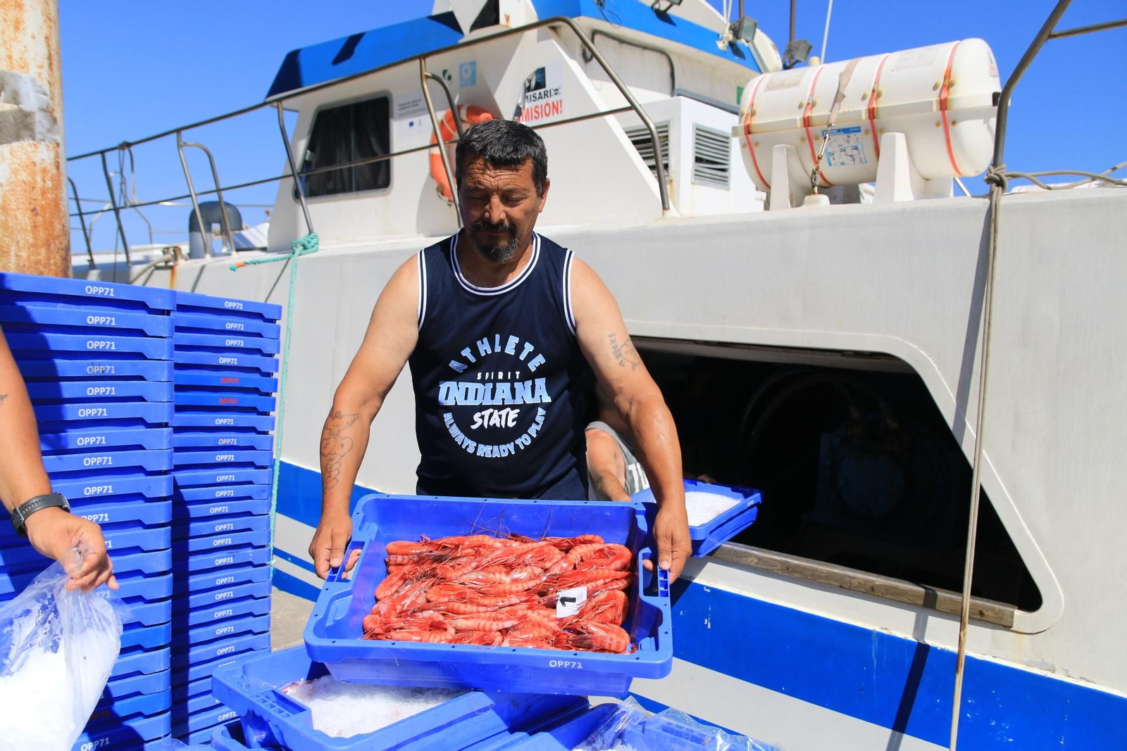 Vea cómo se descargan y se venden en la lonja la Gamba Roja de Almería