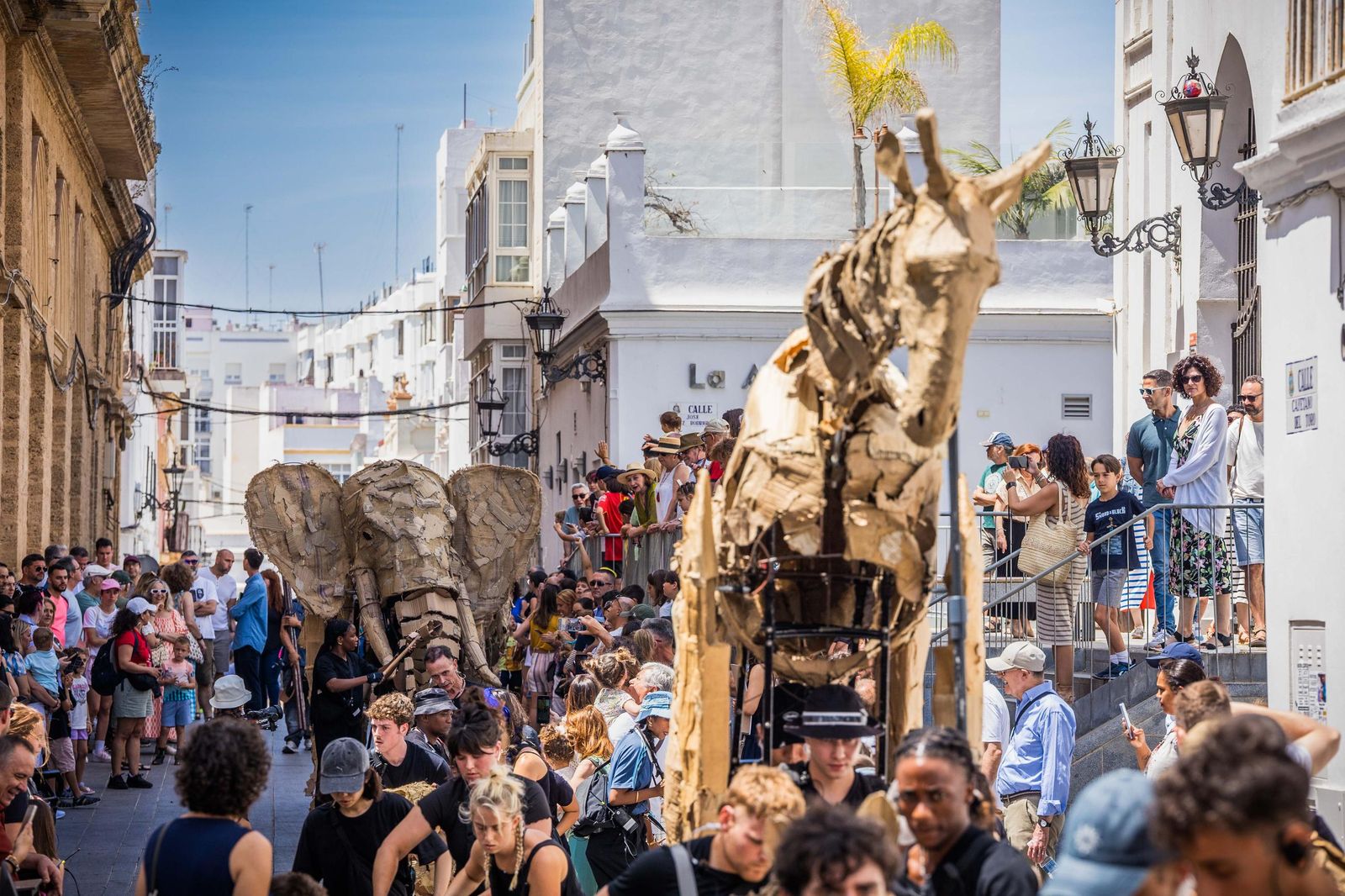 Las imágenes de 'La estampida' en San Fernando
