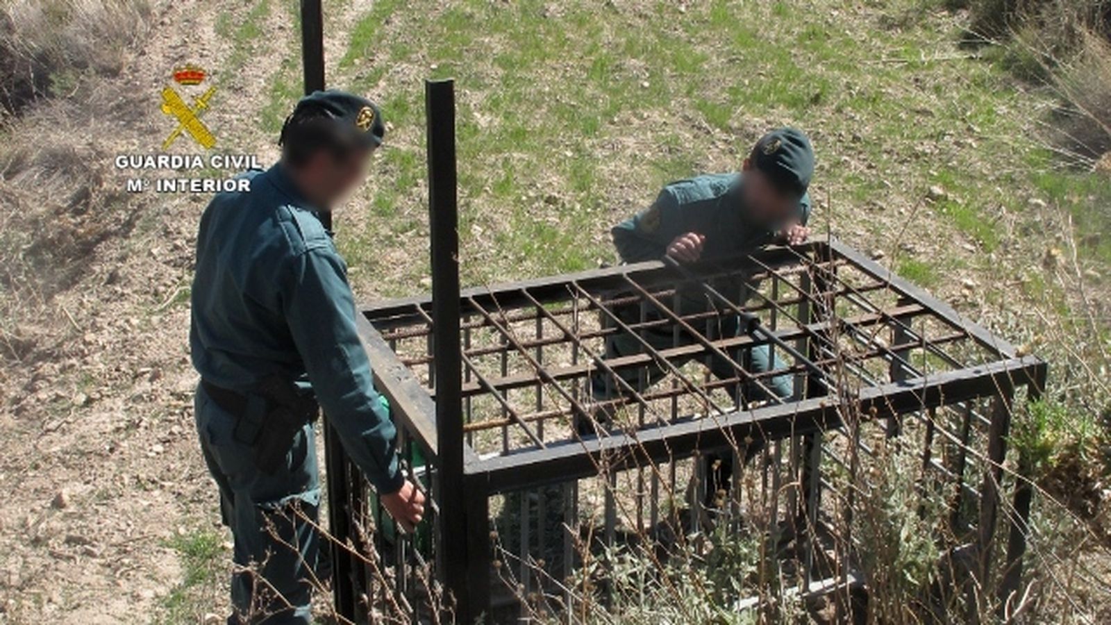 Más de 300 investigados en las operaciones Red Dot y Antitox IX de la Guardia Civil, una de las actuaciones destacadas en Almería