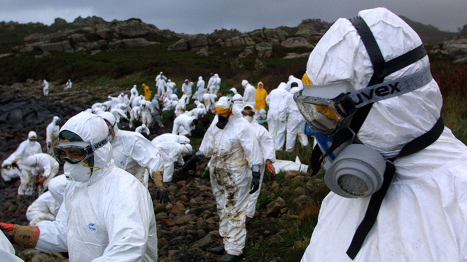 Voluntarios en las tareas de limpieza del chapapote.
