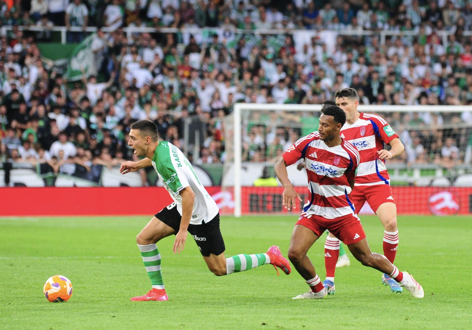 Las mejores imágenes del Racing de Santander-Granada CF