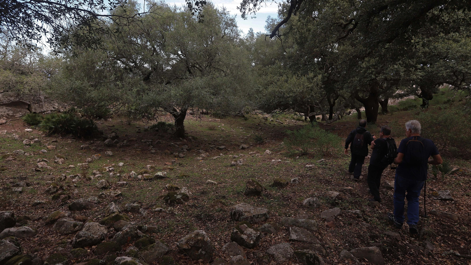 Fotos del asentamiento Turdetano de la Sierra de la Plata  en Tarifa