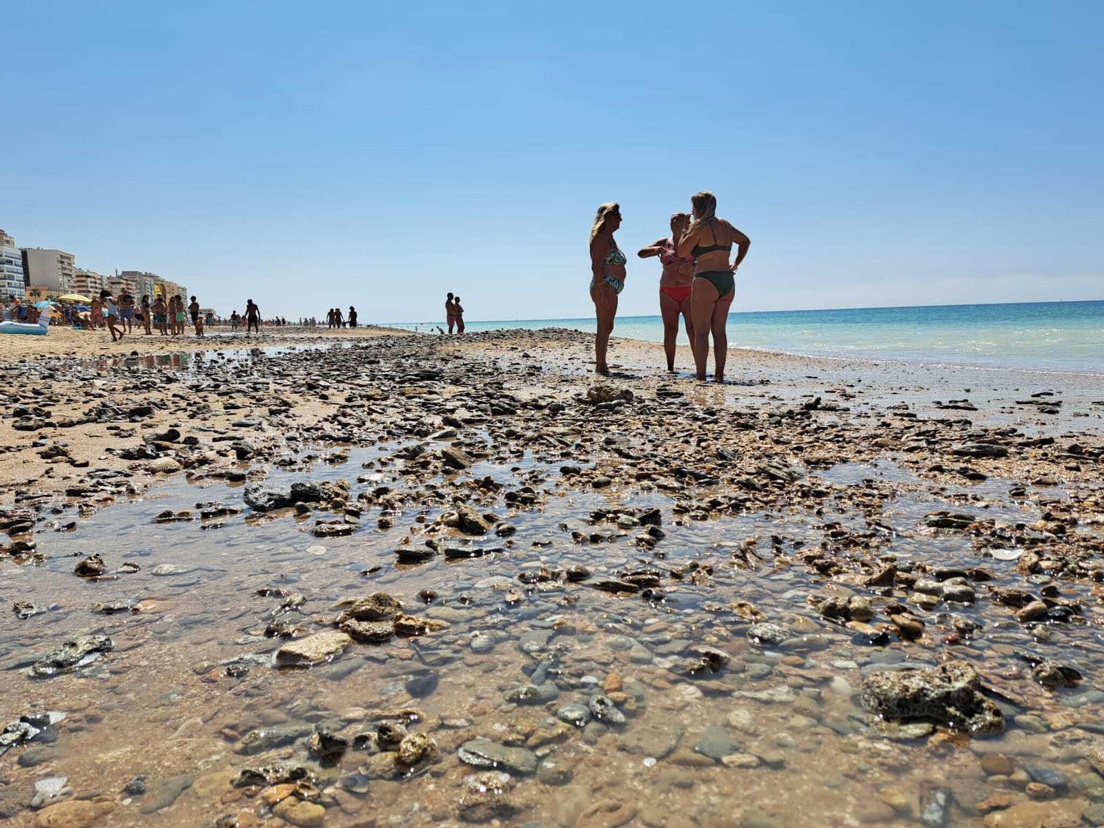 En las últimas semanas aparecieron numerosas piedras en la orilla