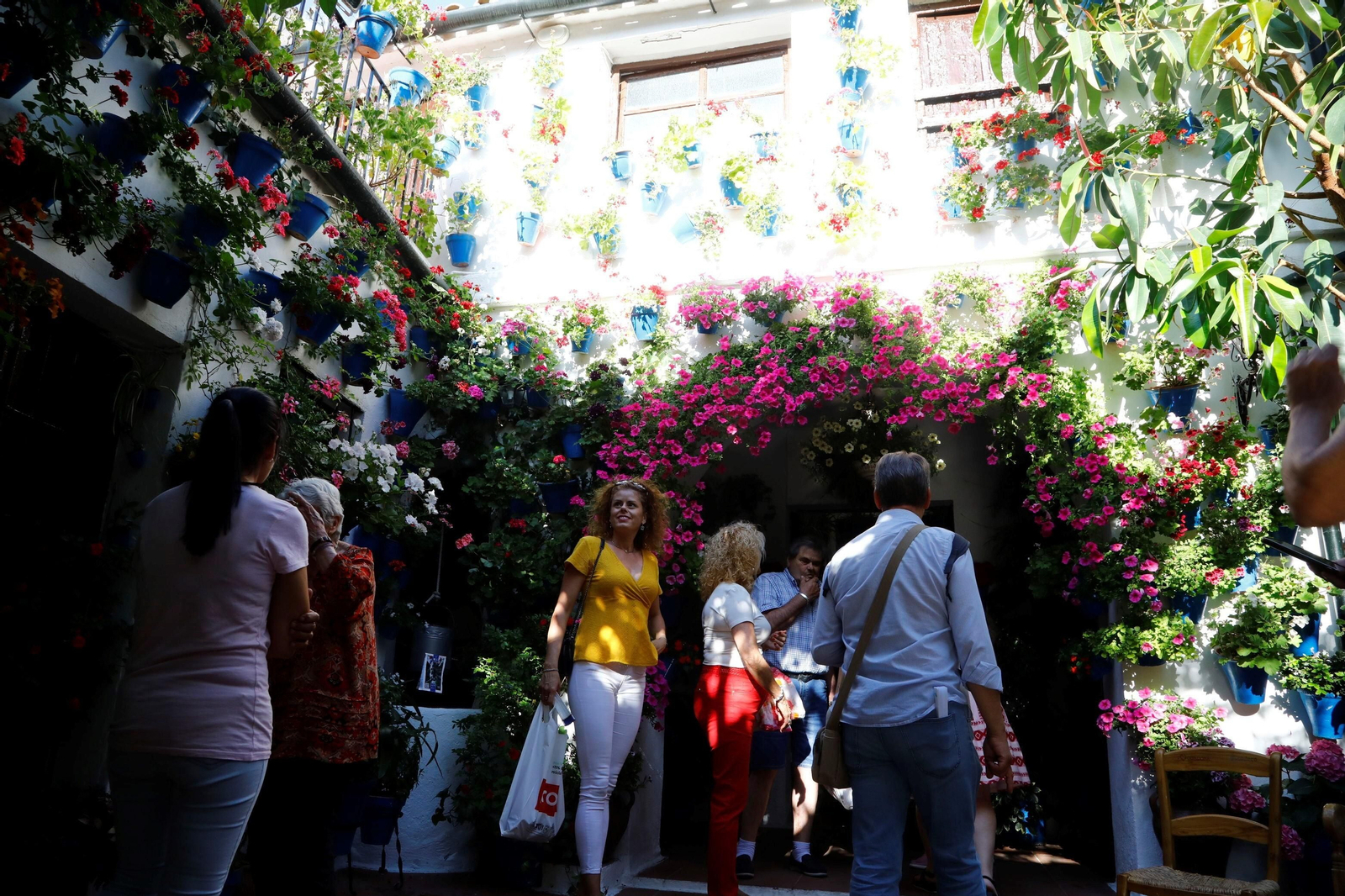 Los ganadores del Concurso de Patios de Córdoba 2023, en imágenes
