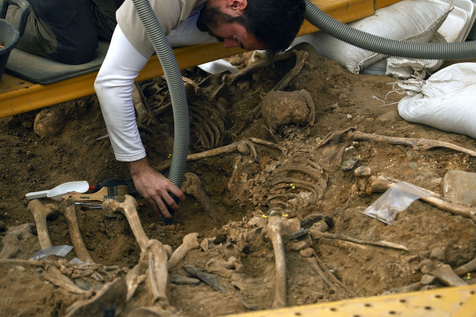 Trabajos de exhumación en una fosa  común  del cementerio de la Salud de Córdoba.