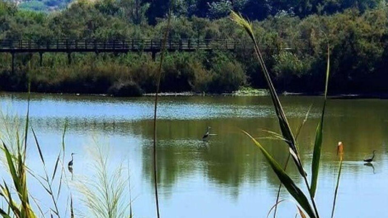 Los participantes irán descubriendo sorprendentes datos que ayudarán a tomar conciencia de la belleza e importancia medioambiental de este hermoso lugar.