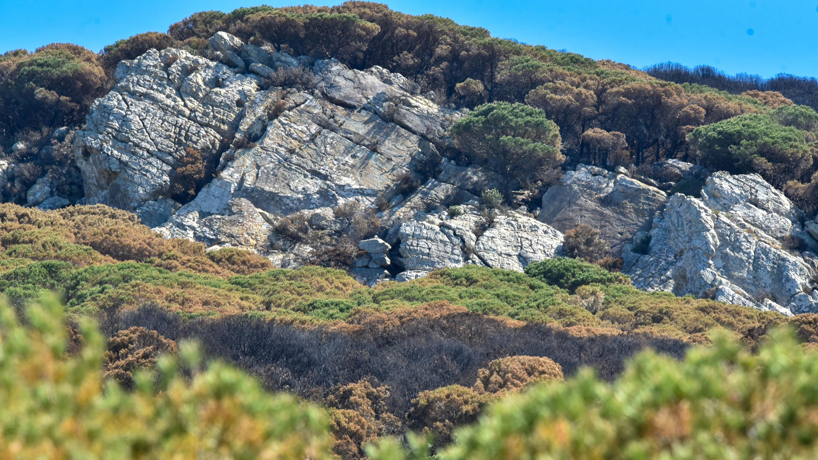 Fotos de la zona de Betijuelos incendiada
