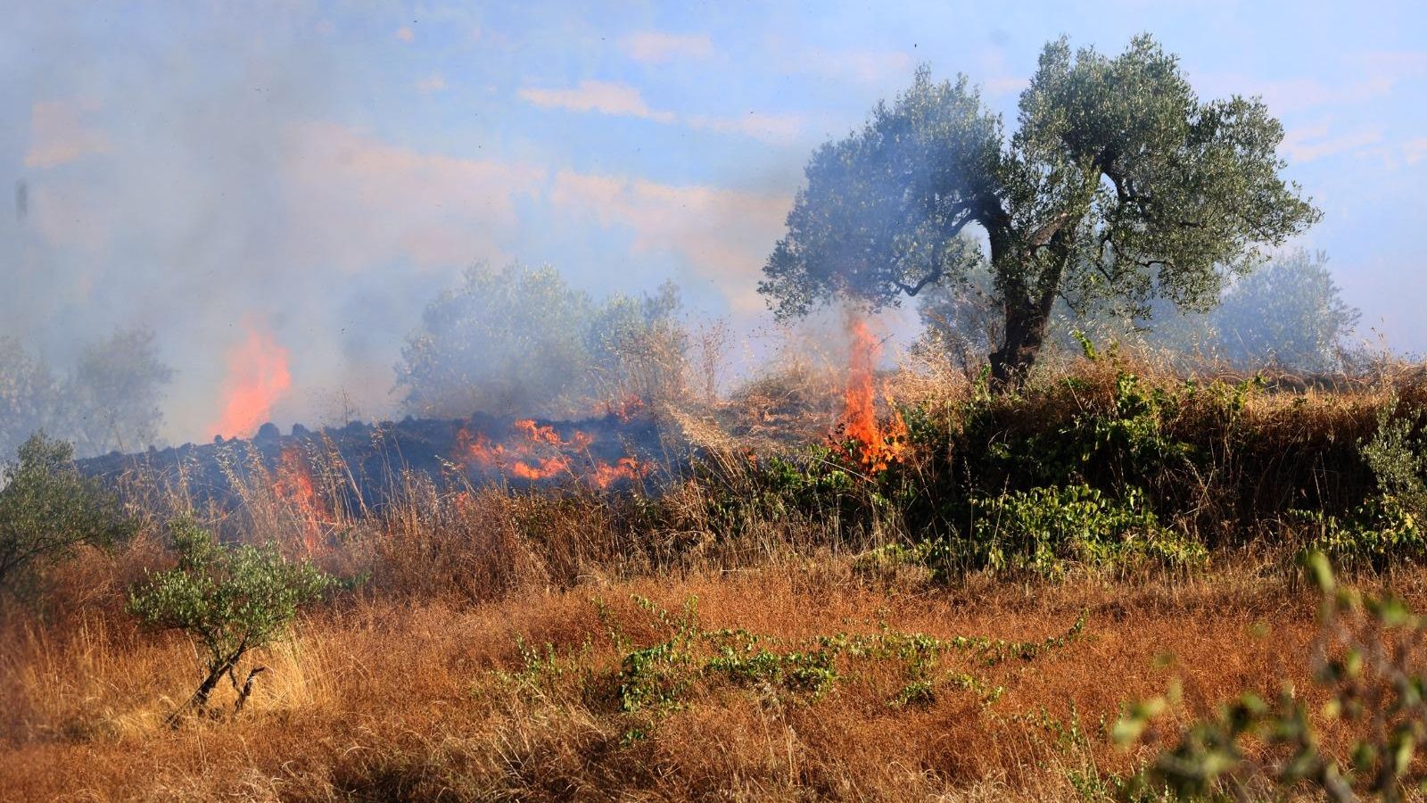 El incendio forestal de este sábado en Bollullos Par del Condado. El incendio forestal de este sábado en Bollullos Par del Condado.