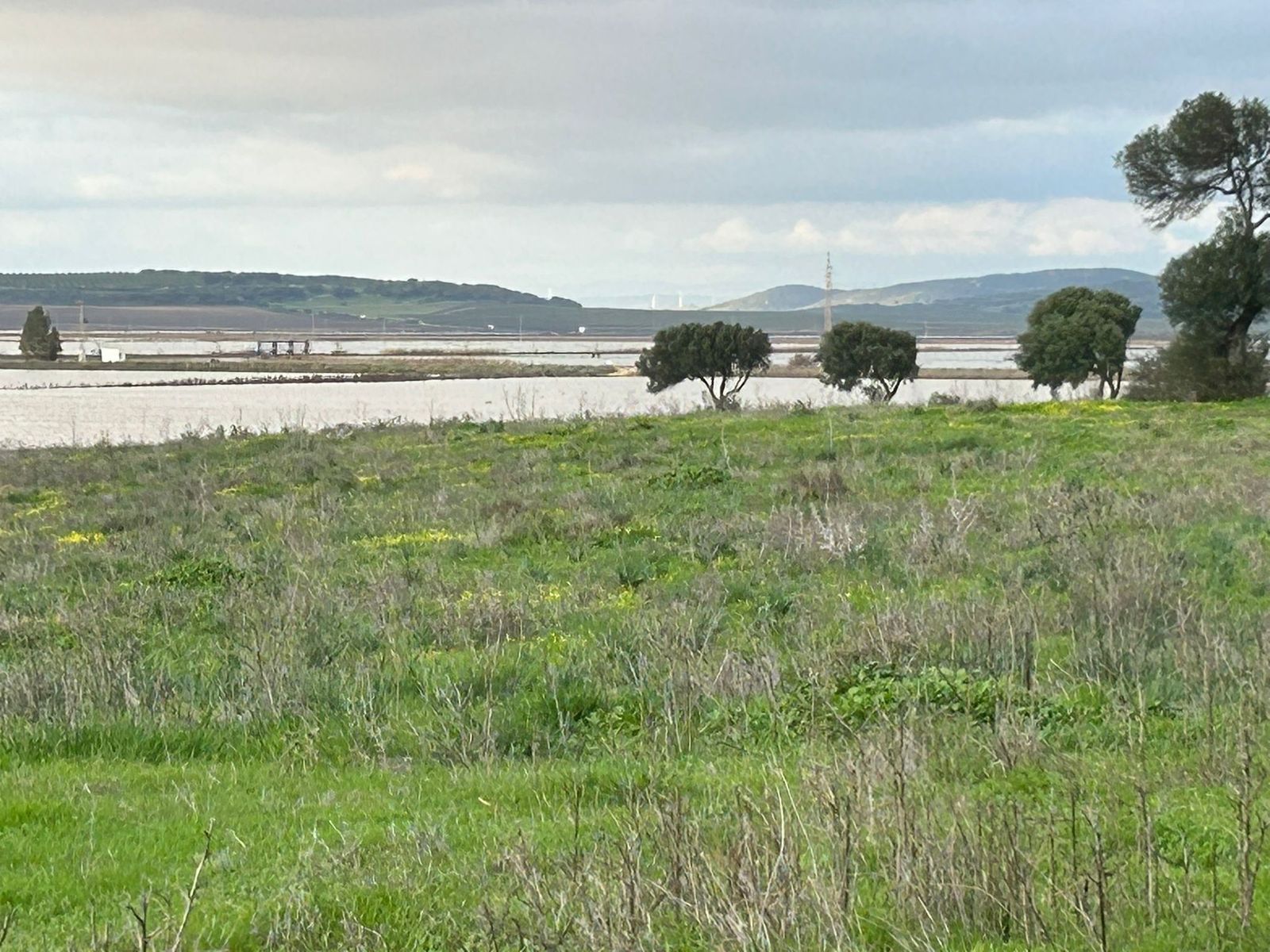 Aspecto actual de la laguna de La Janda.