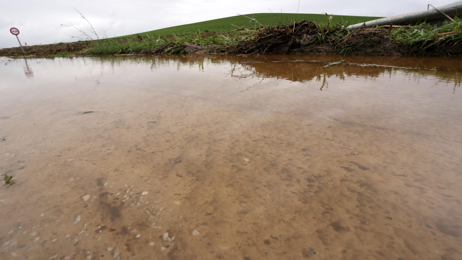 Imágenes del temporal de viento y lluvia en Jerez