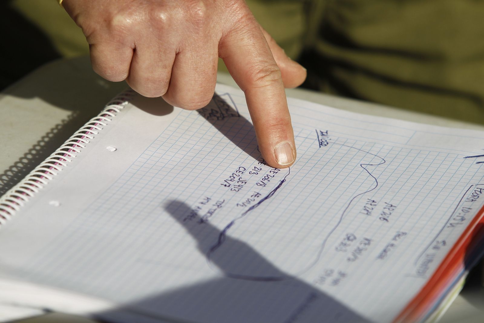 Fotogalería incendio forestal de Castala, Berja y Dalías.