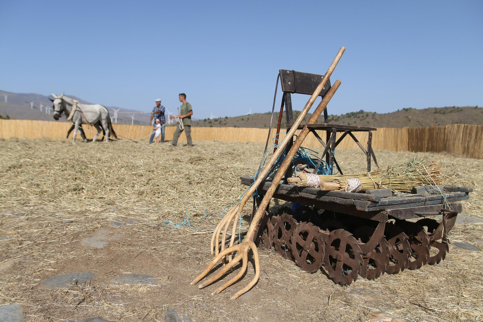 La fiesta de la trilla de Abla