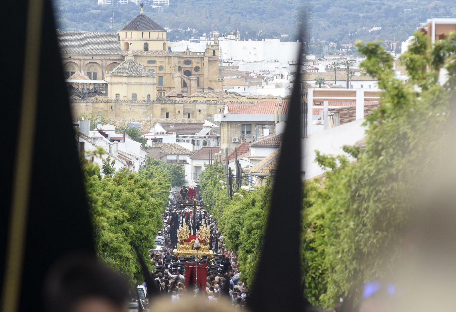 El Domingo de Ramos en Córdoba, en imágenes
