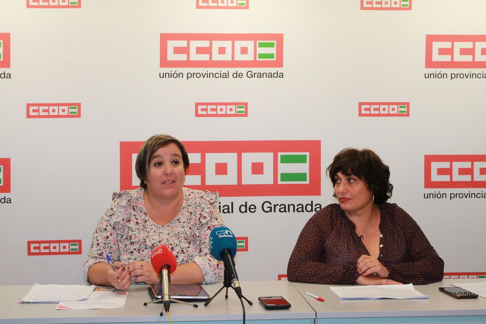 La responsable de la Mujer de CCOO de Andalucía, Patricia Laguna, en la rueda de prensa celebrada en Granada