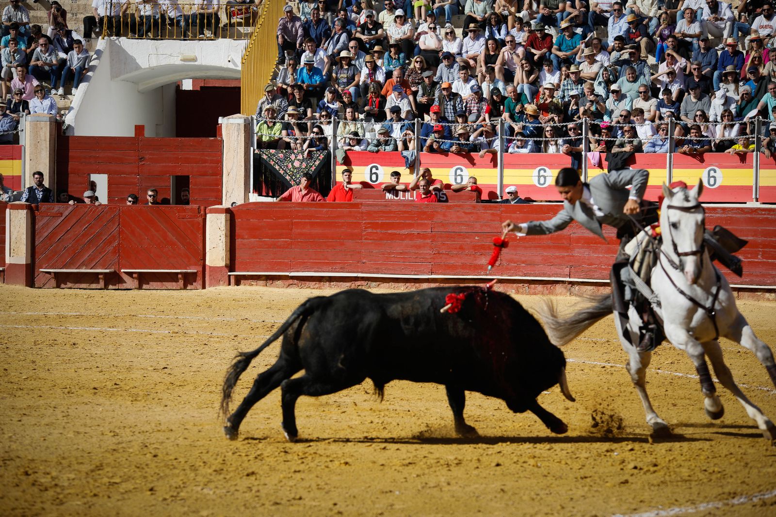 Imágenes del festival mixto lucha contra el cáncer