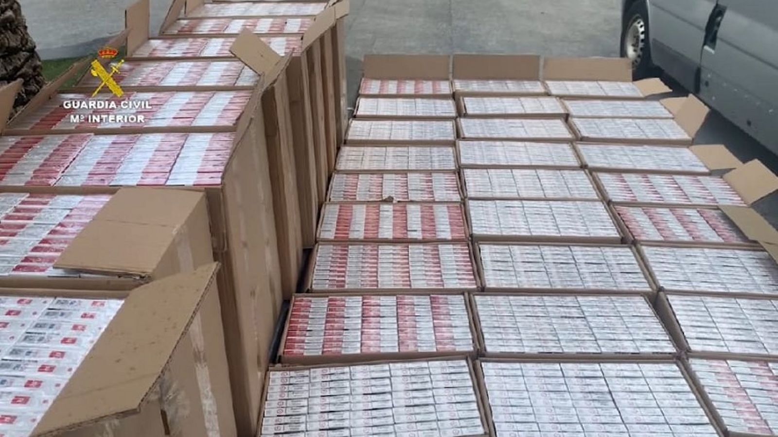 Cajetillas de tabaco incautadas