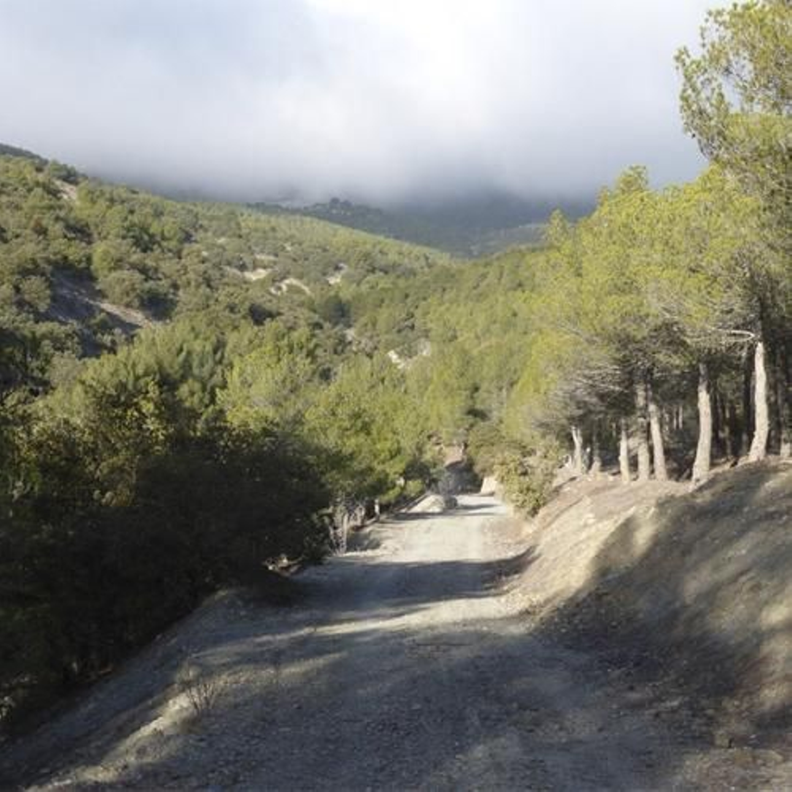 La tercera salida será a las Chorreras del Chullo. el pico más alto de Almería