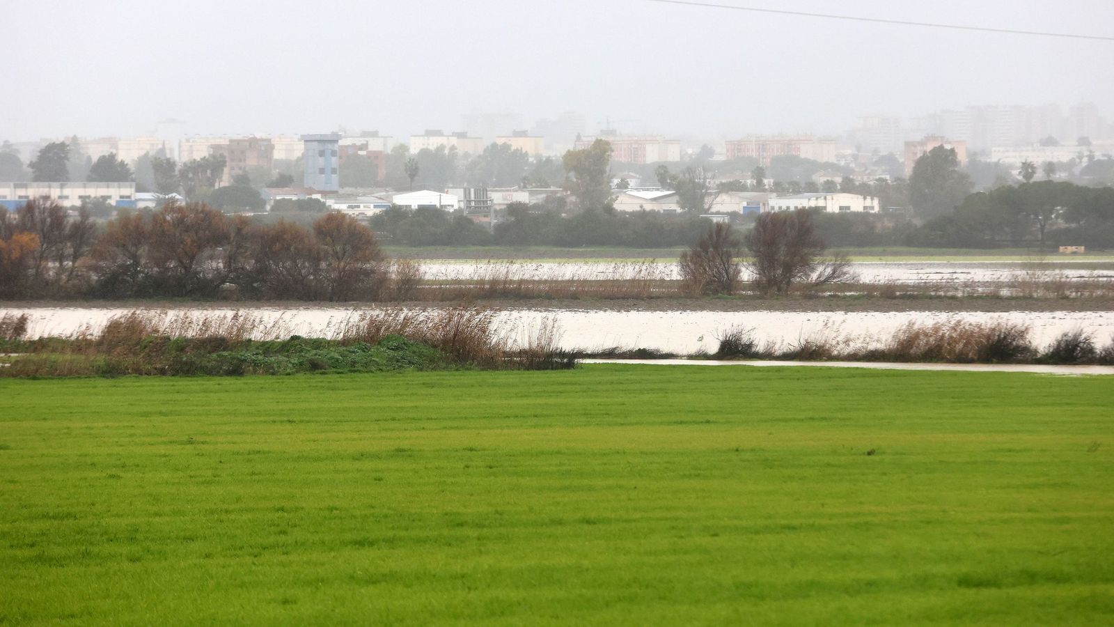 Imágenes del paseo rural por Jerez en el estreno de la borrasca Marta