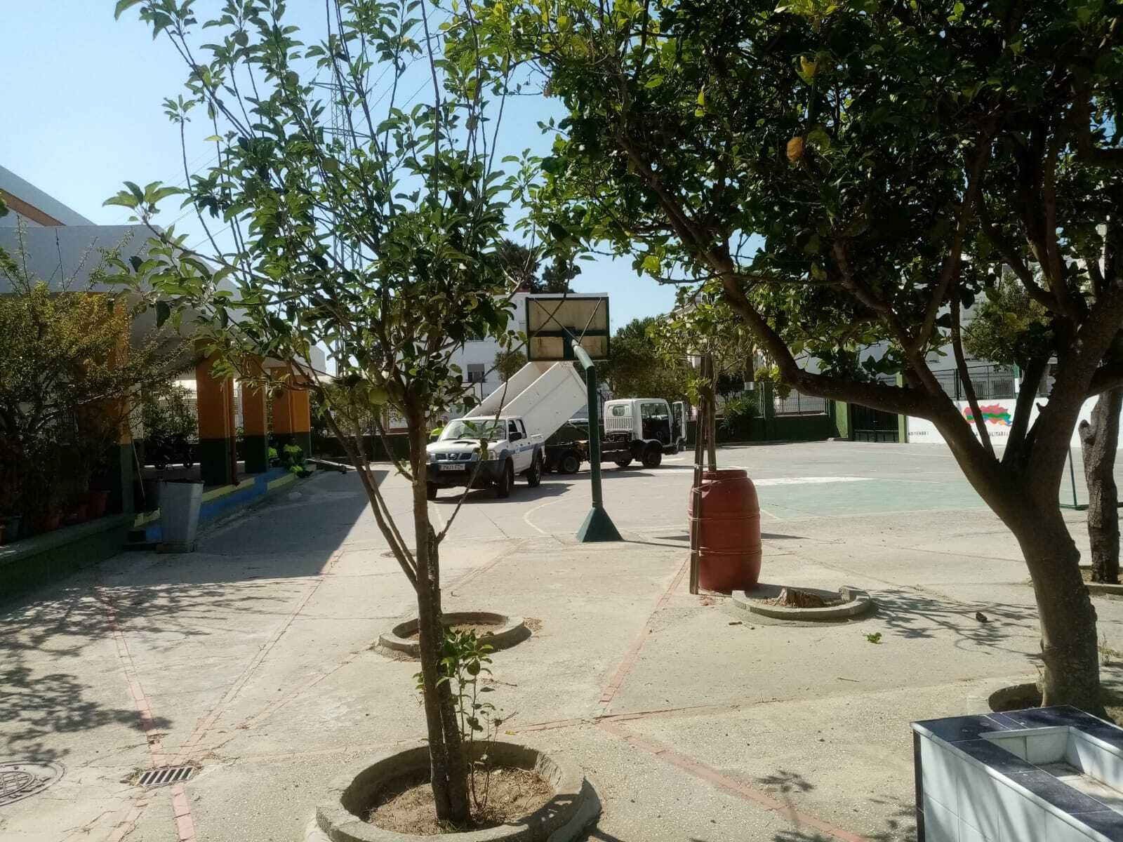 Trabajos de limpieza y desbroce en el interior de un colegio de San Fernando.