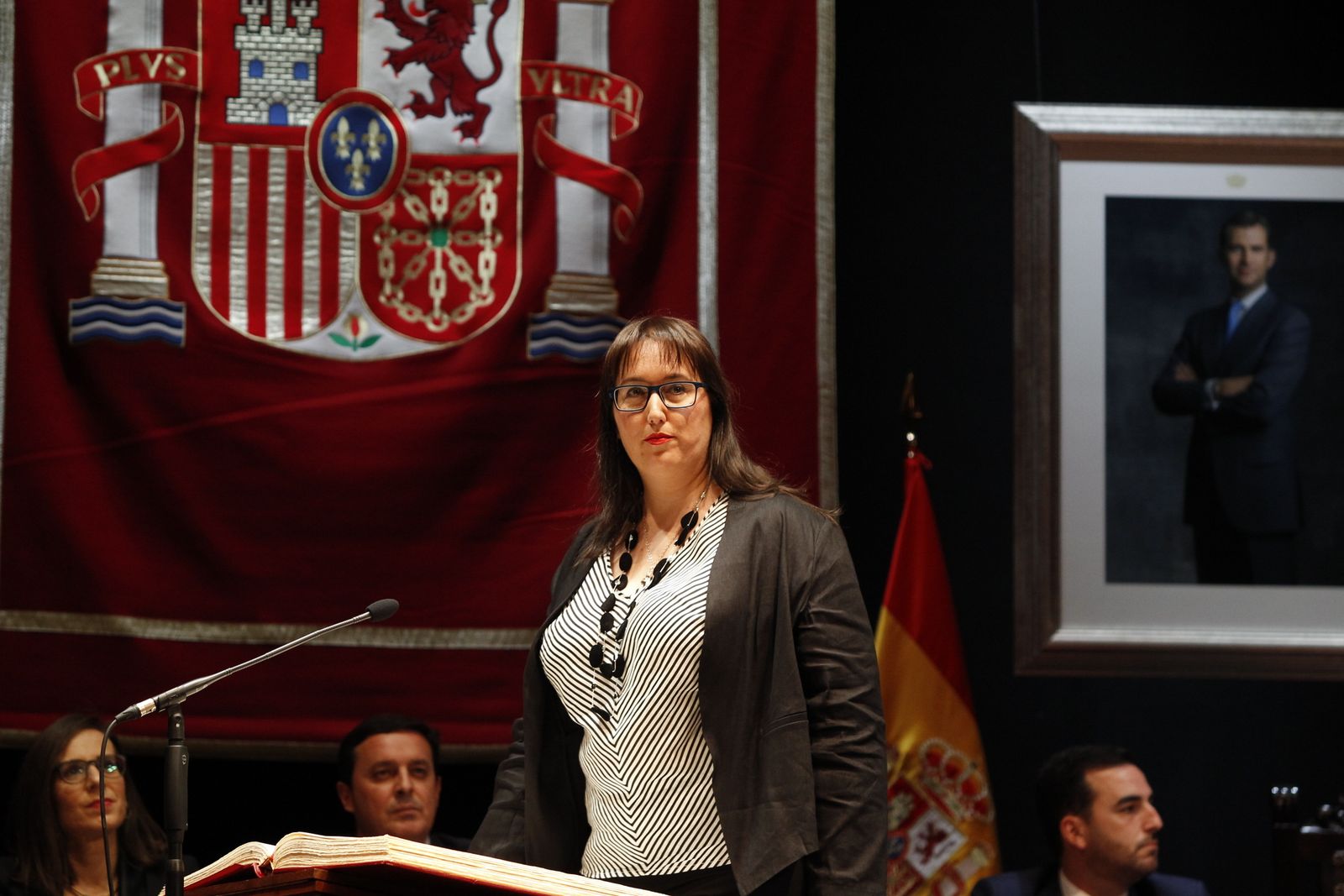 Fotogalería Pleno Constitución Ayuntamiento de Almería