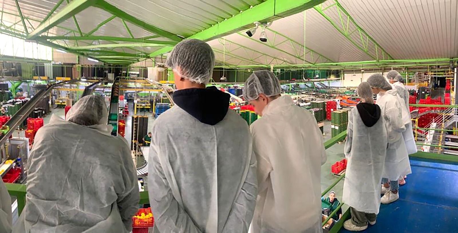 Alumnos de Bachillerato del IES Albaida visitan las instalaciones de Natursur SCA